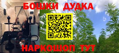 шишки Волжский